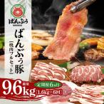 ブランド豚 ばんぶぅ しゃぶしゃぶフルセット 計1.6kg
