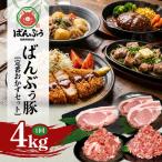 ブランド豚 ばんぶぅ 定番おかずセット 計4kg