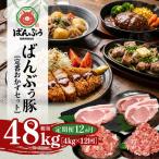 ブランド豚 ばんぶぅ 定番おかずセット 計4kg