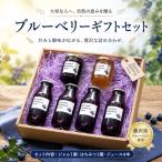 ブルーベリー セット