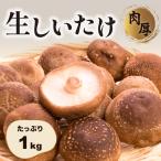 肉厚生しいたけ 1kg