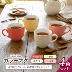 カラーマグ 4色セット キャロット バナナ