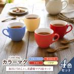 カラーマグ 4色セット ブルーベリー キャロット