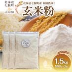 玄米粉500g×3 NAZ027