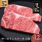 肉 博多和牛 サーロインステーキ 200g
