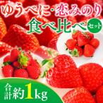 ゆうべに 恋みのり 食べ比べセット 約1kg