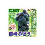 巨峰 ぶどう 4パック