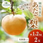 梨 あたご梨 約1.2kg玉2玉 化粧 箱 愛宕梨