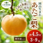 梨 あたご梨 4.5kg
