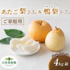 梨 ヤーリー梨 鴨梨 2玉