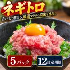 12回定期便 まぐろのネギトロ 5パック