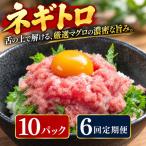 6回定期便 まぐろのネギトロ 10パック