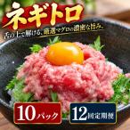 12回定期便 まぐろのネギトロ 10パック