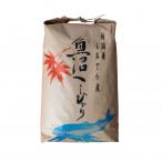 南魚沼産 塩沢コシヒカリ だすけ米 玄米10kg 5kg×2袋