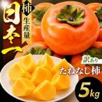 訳あり たねなし柿 約 5kg