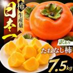 訳あり 富有柿 約 7.5kg