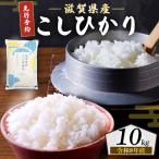 新米 こしひかり 白米 10kg