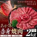 あか牛 赤身 ウデモモ 焼肉 2kg