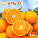 中島産 南柑20号 約4.5kg