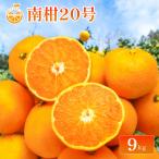 中島産 南柑20号 約9kg