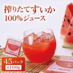 すいかジュース 100g