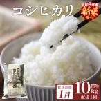 米 令和8年産 コシヒカリ 精米 10kg