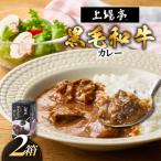 上場亭 ごろっと黒毛和牛カレー 2箱