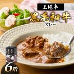 上場亭 ごろっと黒毛和牛カレー 6箱