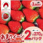 佐藤果実工房 あまクイーン 約270g×2パック