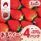 佐藤果実工房 あまクイーン 約270g×4パック