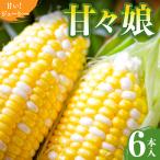 入手困難 甘々娘6本入り REGALO