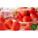 倉敷いちご 品種おまかせ L 2L