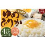 らんこし米 ゆめぴりか 約2kg