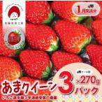 佐藤果実工房 あまクイーン 約270g×3パック