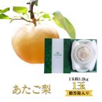 あたご梨 1玉