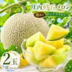 庄内砂丘アンデスメロン 4Lサイズ2玉