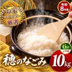 令和7年産 くまさんの輝き 無洗米 10kg