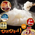 令和8年産 ひのひかり 白米 5kg