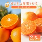 中島産 せとか&愛果48号 食べ比べセット 約2.5kg