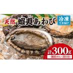天然 蝦夷あわび 計300g