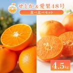 中島産 せとか 愛果48号 食べ比べ セット 約4.5kg