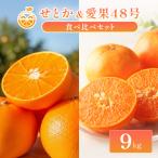 中島産 せとか 愛果48号 食べ比べ セット 9kg