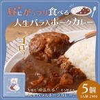 昼にがっつり食べる人生バラ入ポークカレー 250g