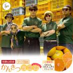 森本農園の手選別 八朔 約4.5kg