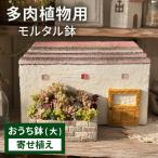 モルタル造形おうち鉢 小