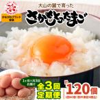 さかもとのたまご 40個