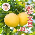 訳あり 文旦 10kg