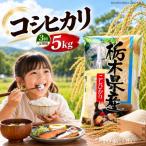 令和8年度産 新米 お米とちぎの星 5kg