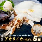 高級 アオリイカ 一夜干し 5枚入り