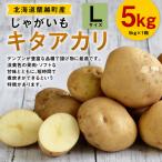 じゃがいも 男爵 Lサイズ 約5kg